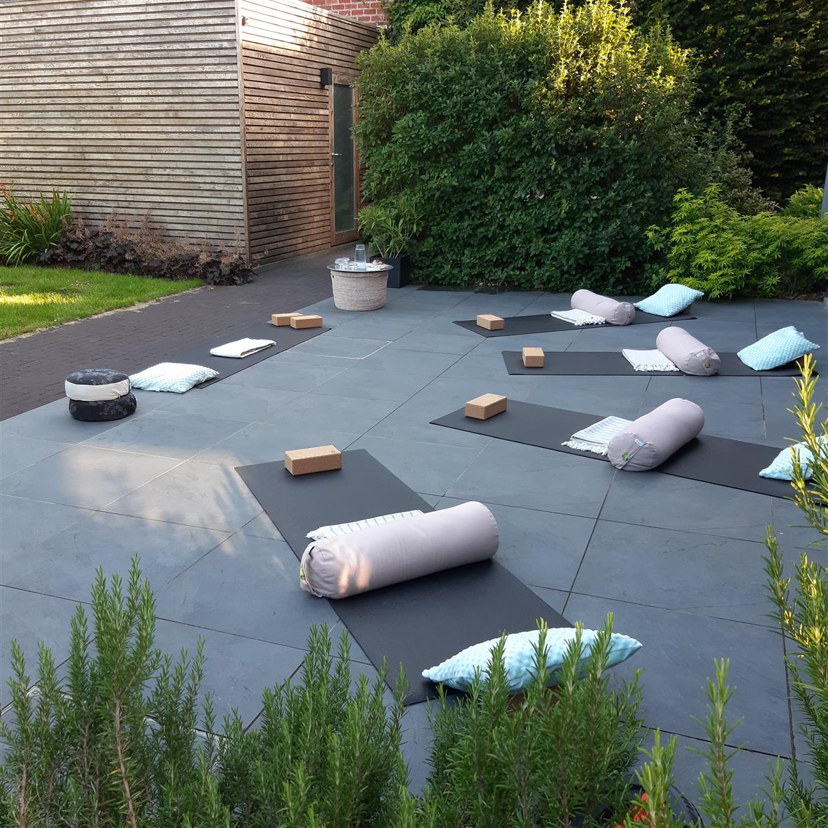 WAVE - ZWANGERSCHAPS yoga - PRENATAL Yoga - JUNI 2026 @ NUMINATAL DILBEEK